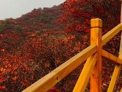 -水峪民俗村