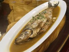 -孔庆璞河豚馆(白玉兰酒店)