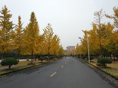 -浙江农林大学(东湖校区)