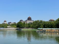 -莲花池公园