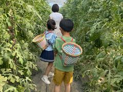 -庞各庄西瓜蔬菜采摘园·锦华瓜园