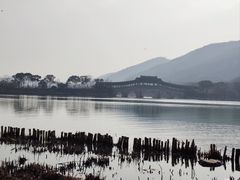 -长广溪湿地公园