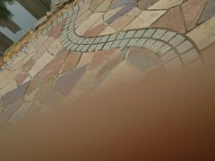 android_upload_pic-前关湿地公园