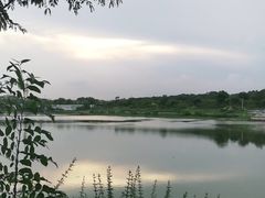 -羊山湖公园