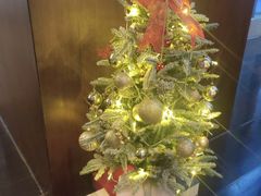 -深圳湾木棉花酒店