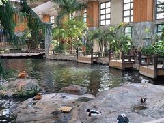 -南宫五洲植物乐园