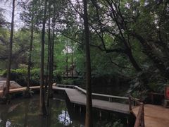 -广州兰圃