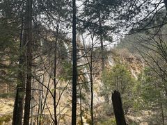 -九寨沟-树正沟