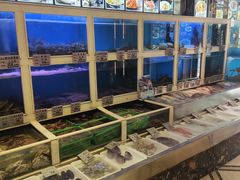 -丽园海鲜饭店(东关街店)