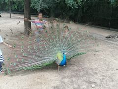 -秦皇岛野生动物园