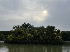 -大湾区中央湿地公园