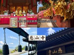 -宝莲禅寺