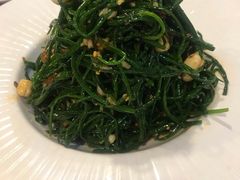 -老阿妈蒙古村·蒙古包·草原文化·歌舞表演(老君堂店)