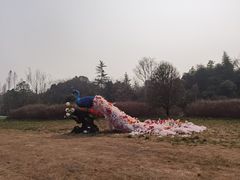 -三圣花乡旅游区