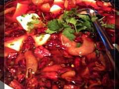 肥肠-新南华大酒店(广中店)