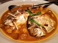 烧鲳鱼-新荣记(建国门外大街店)