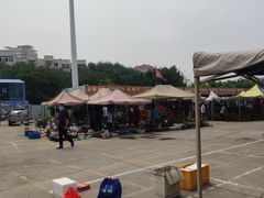-中环花鸟鱼虫市场