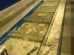 -火锅岛潮牌自助餐厅(天津天佑城店)