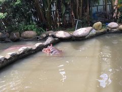 -宁波野生动物园