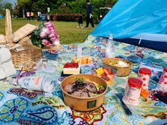 -上海海湾国家森林公园