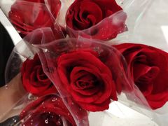 -海底捞火锅(群光广场店)