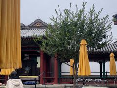 -宫事颐庭·老佛爷贵寿下午茶(颐和园店)