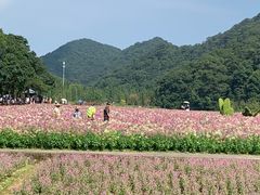 -广州市石门国家森林公园