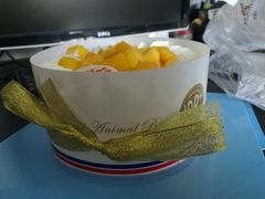 -维尔纳斯·生日蛋糕·动物奶油冰淇淋蛋糕(六里桥店)