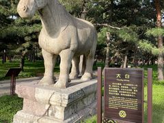 -北陵公园