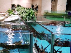 水产区-旺顺阁海鲜广场(亚运村店)