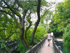 -贵阳市花溪国家城市湿地公园