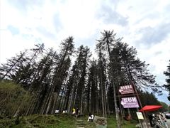 -硗碛藏寨·神木垒景区