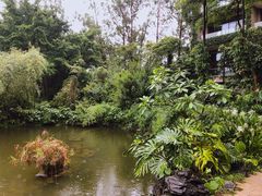 -深圳隐秀山居酒店