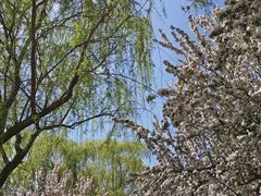 -元大都城垣遗址公园