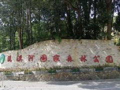 -广州市流溪河国家森林公园