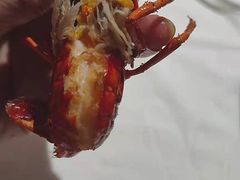 潜江油焖大虾-熊记虾王·小龙虾(东晓南店)