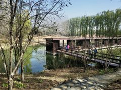 -翠湖国家城市湿地公园