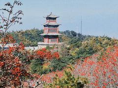 -泰山风景名胜区