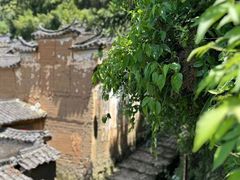 -杨家堂村