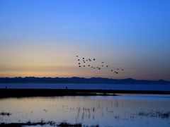 -青海湖国家重点风景名胜区