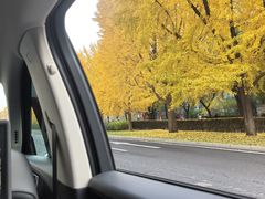 -玲珑塔公园