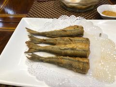 -红星渔村(将军石店)