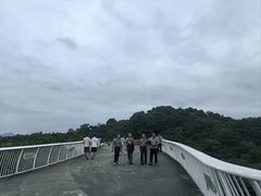 -飞凤山奥体公园