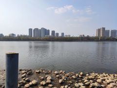 -长白岛森林公园