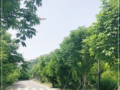 -洪泽湖古堰景区