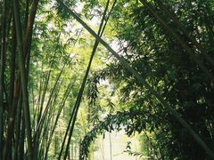 -广州市白云山风景名胜区