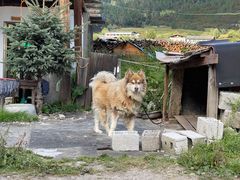 -鲁朗纳麦石锅鸡庄园