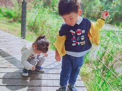 -昆山城市生态森林公园