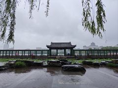 -莲花池公园