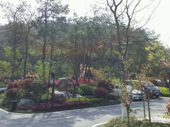 android_upload_pic-天目湖涵田度假村